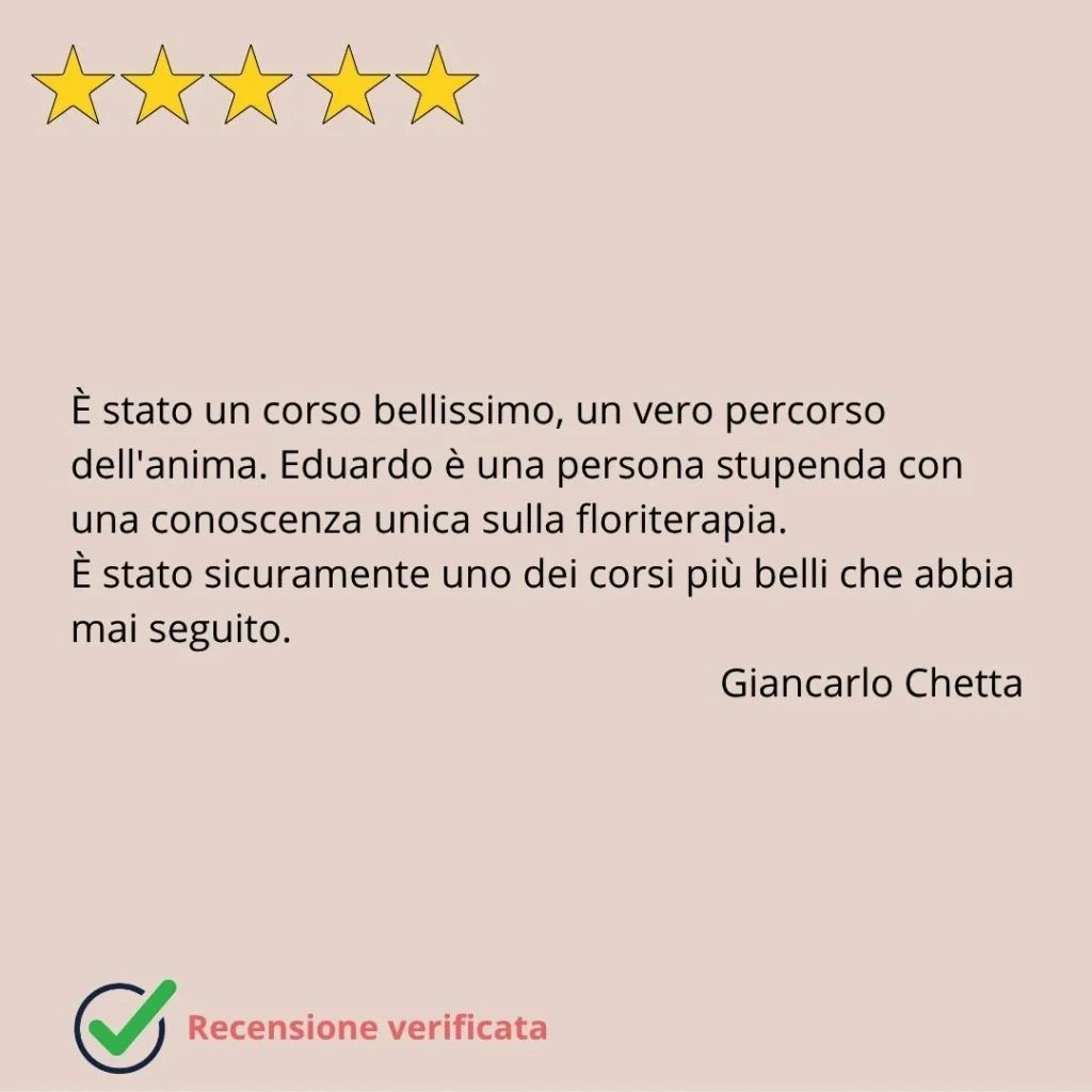 recensioni eduardo grecco 11 mobile