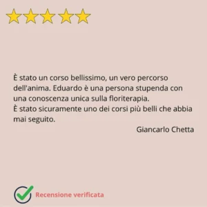 recensioni eduardo grecco 11 mobile