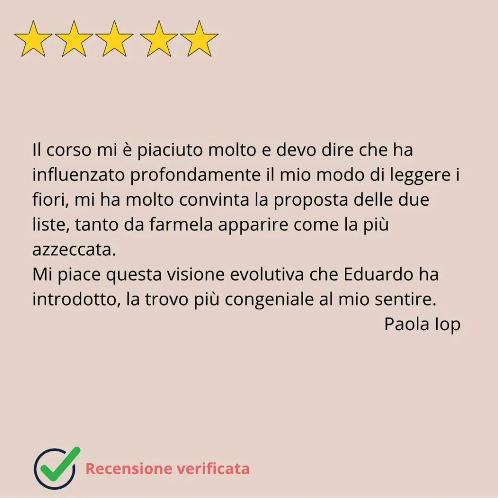 recensioni eduardo grecco 10 mobile