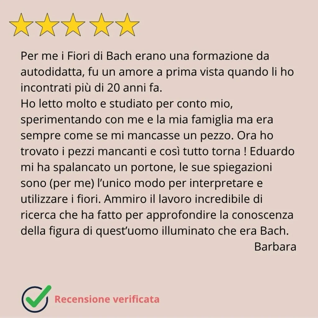 recensioni eduardo grecco 5 mobile
