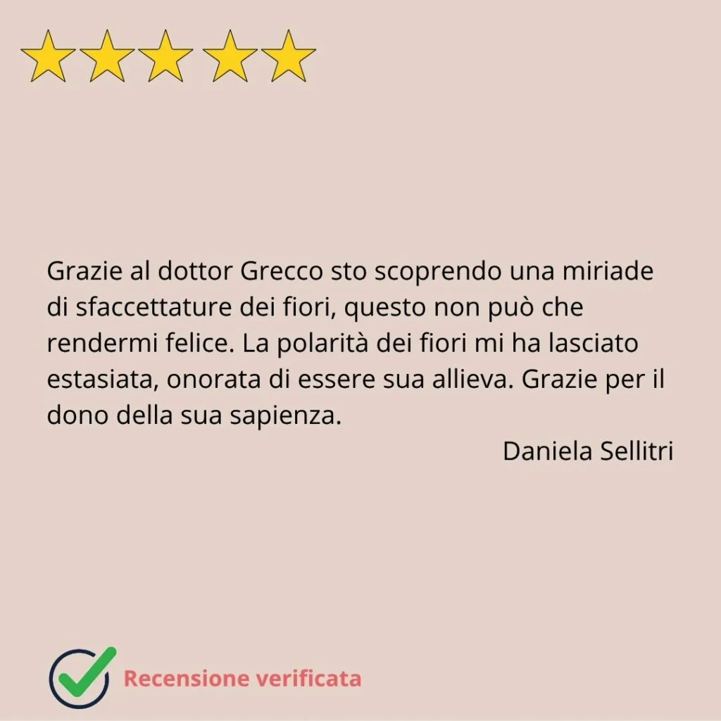 recensioni eduardo grecco 2 mobile