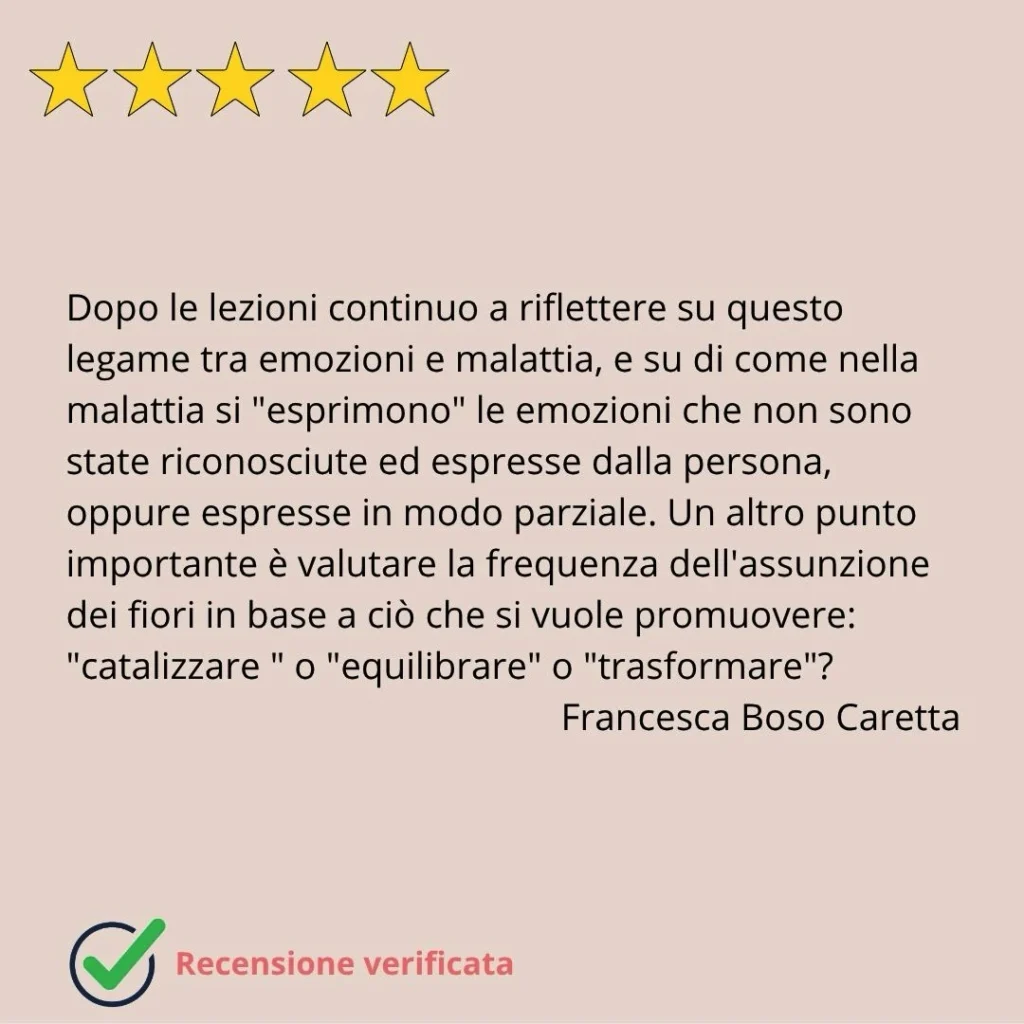 recensioni eduardo grecco 1 mobile