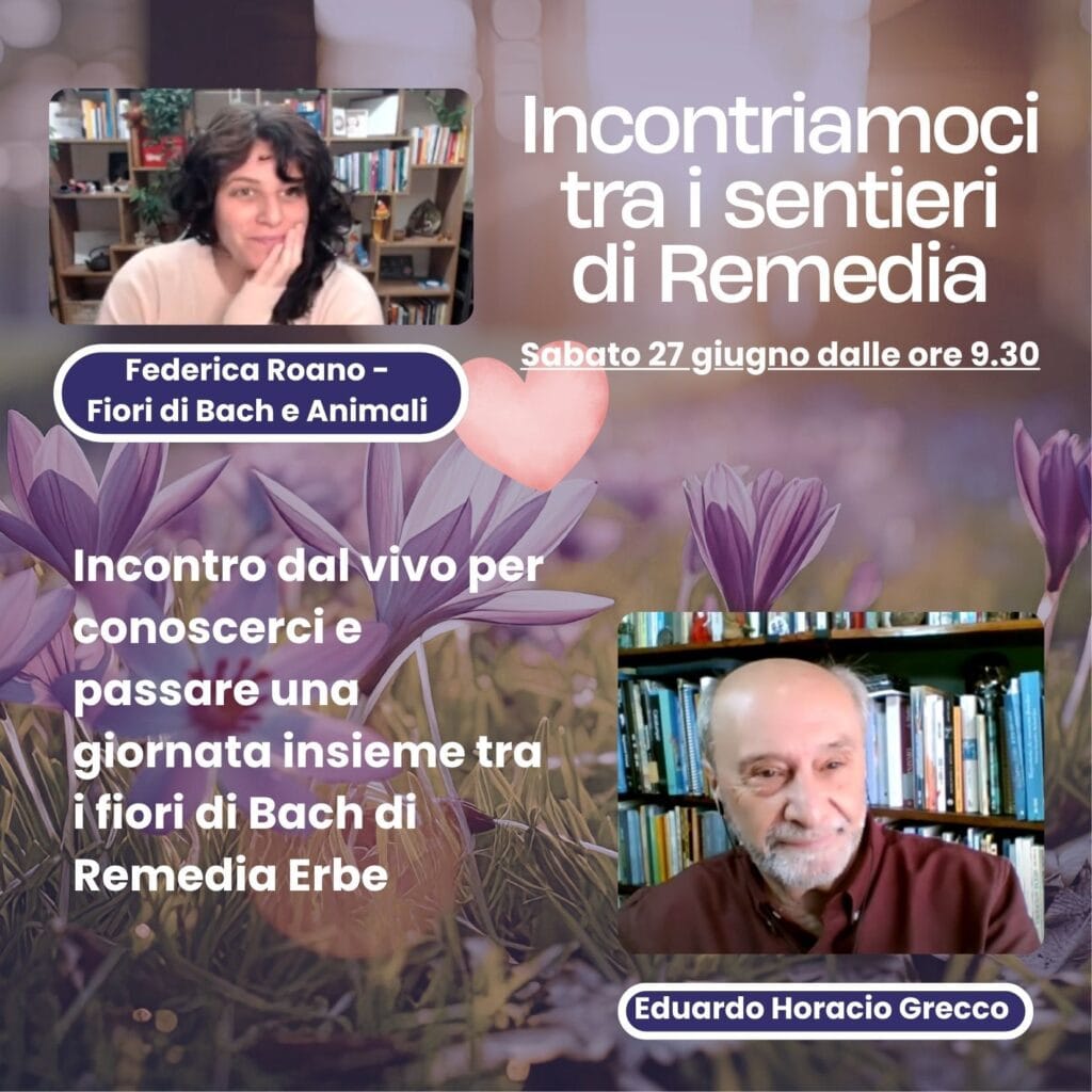 Incontriamoci tra i sentirei di Remedia eduardo grecco federica roano